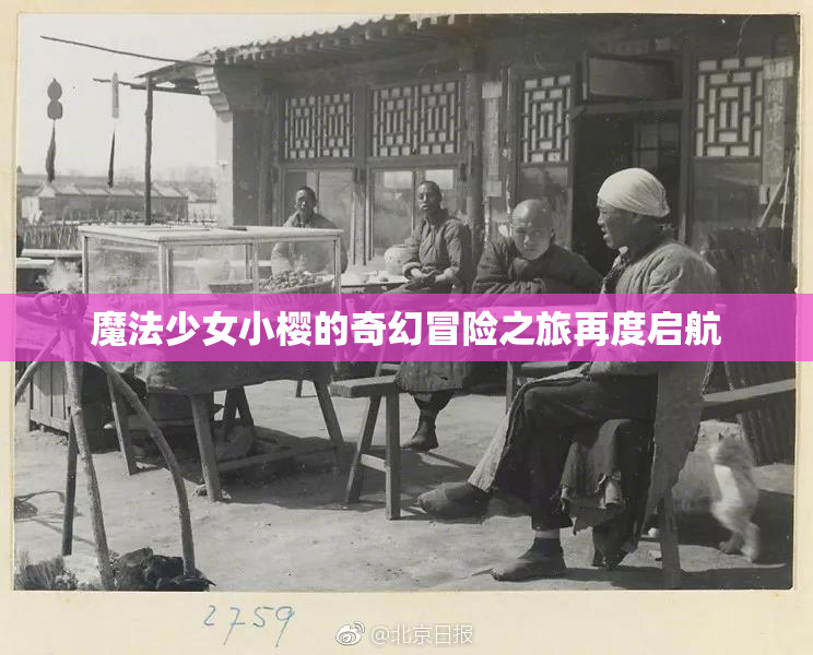 魔法少女小樱的奇幻冒险之旅再度启航