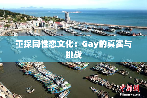 重探同性恋文化：Gay的真实与挑战