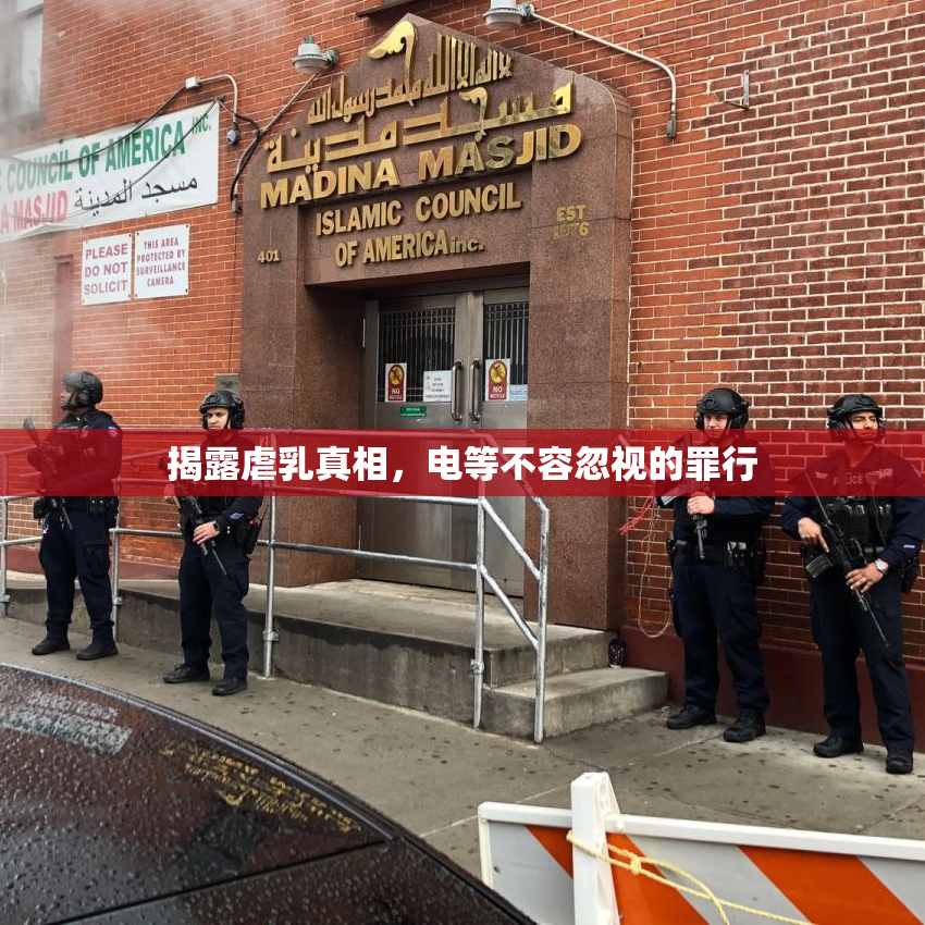 揭露虐乳真相，电等不容忽视的罪行