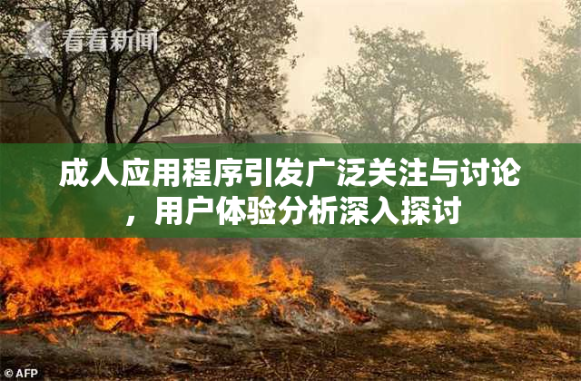 成人应用程序引发广泛关注与讨论，用户体验分析深入探讨