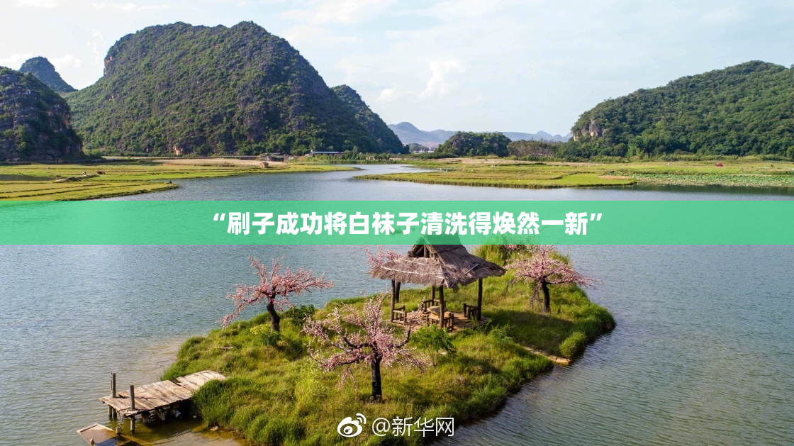 “刷子成功将白袜子清洗得焕然一新”