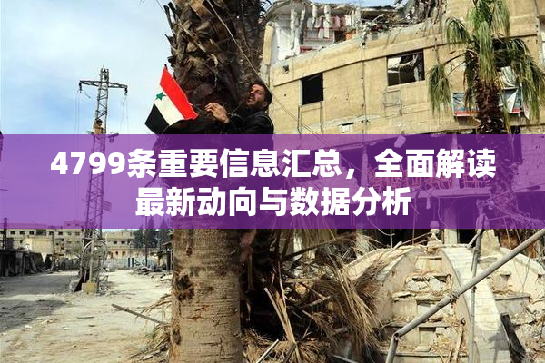 4799条重要信息汇总，全面解读最新动向与数据分析