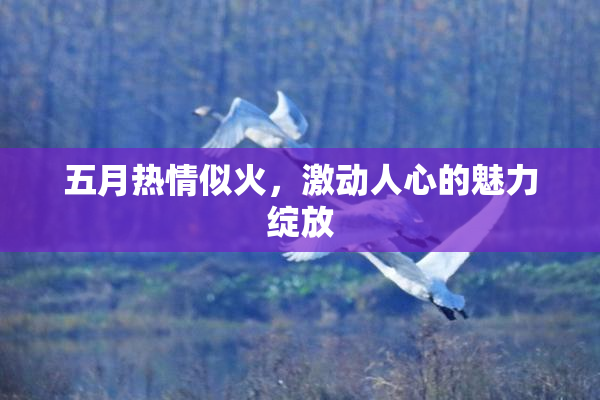 五月热情似火，激动人心的魅力绽放