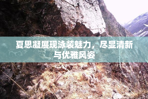 夏思凝展现泳装魅力，尽显清新与优雅风姿