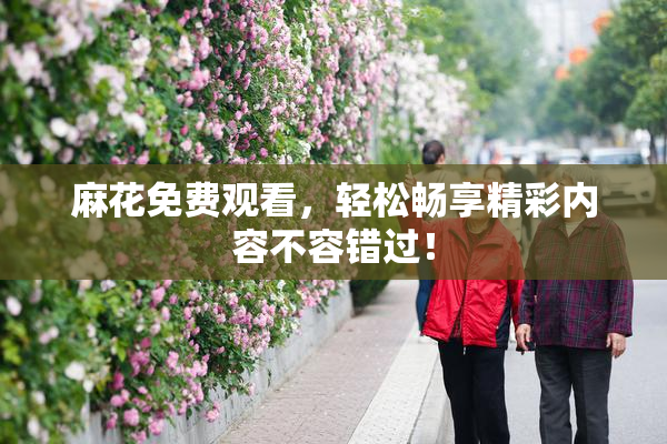 麻花免费观看，轻松畅享精彩内容不容错过！