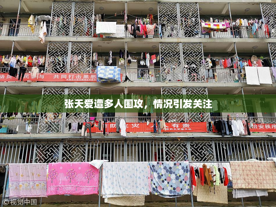 张天爱遭多人围攻，情况引发关注