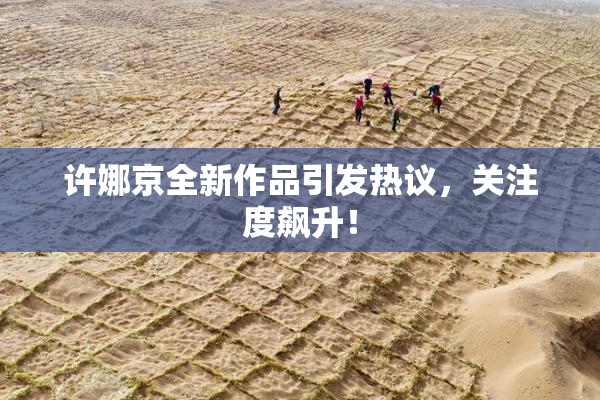 许娜京全新作品引发热议，关注度飙升！
