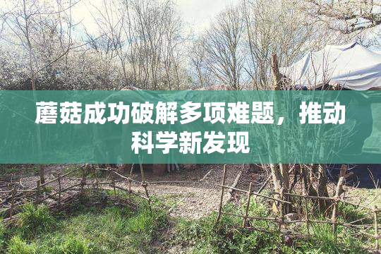 蘑菇成功破解多项难题，推动科学新发现