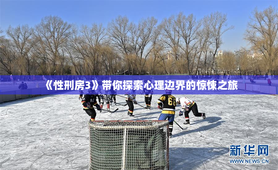 《性刑房3》带你探索心理边界的惊悚之旅