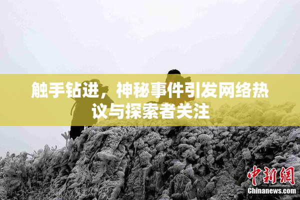 触手钻进，神秘事件引发网络热议与探索者关注