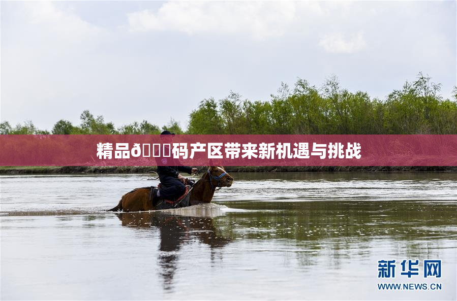 精品🈚码产区带来新机遇与挑战