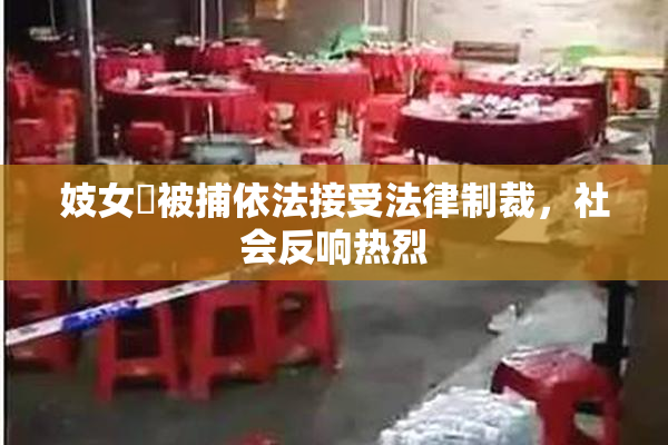 妓女梱被捕依法接受法律制裁，社会反响热烈