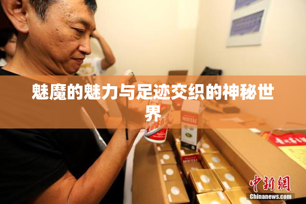 魅魔的魅力与足迹交织的神秘世界