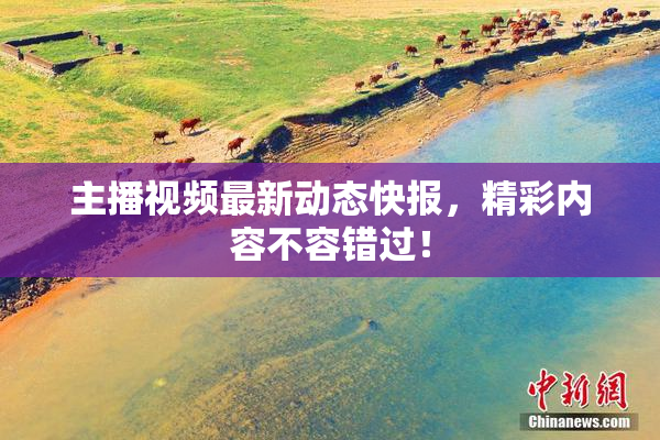 主播视频最新动态快报，精彩内容不容错过！