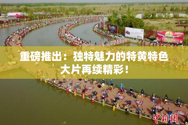 重磅推出：独特魅力的特黄特色大片再续精彩！