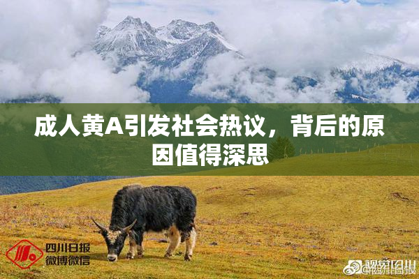 成人黄A引发社会热议，背后的原因值得深思