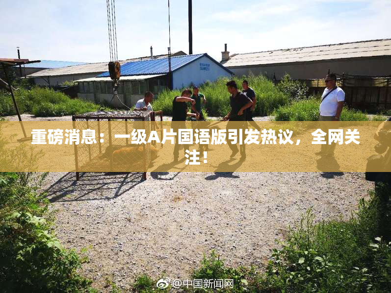 重磅消息：一级A片国语版引发热议，全网关注！
