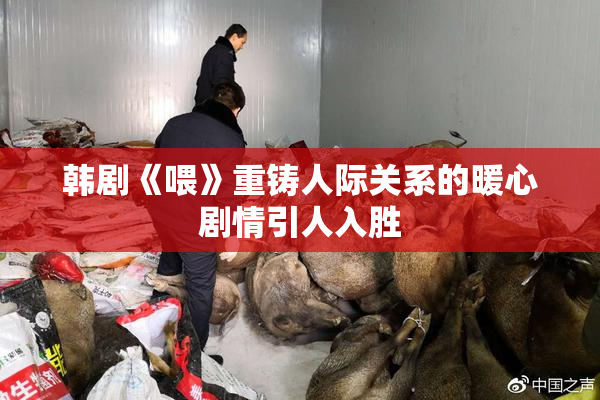 韩剧《喂》重铸人际关系的暖心剧情引人入胜