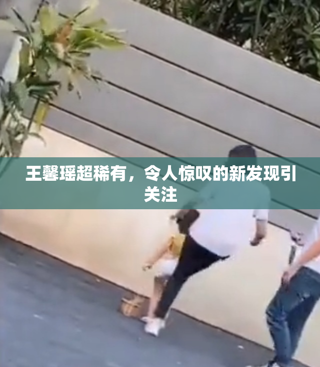 王馨瑶超稀有，令人惊叹的新发现引关注
