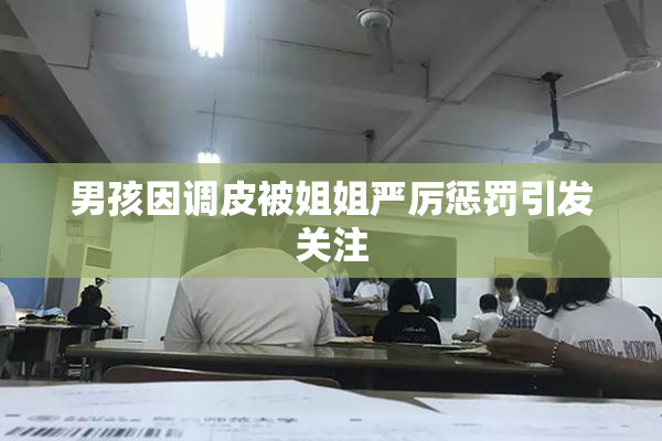 男孩因调皮被姐姐严厉惩罚引发关注