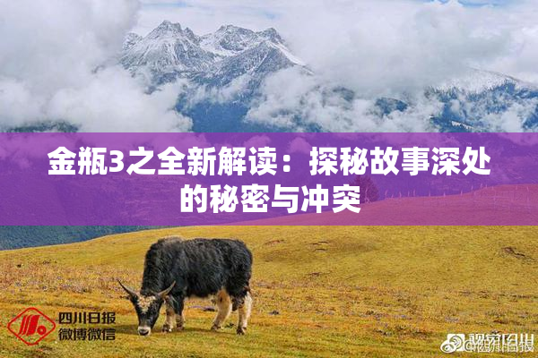 金瓶3之全新解读：探秘故事深处的秘密与冲突