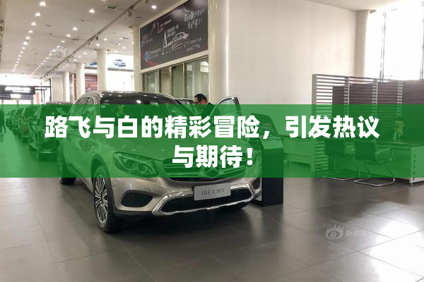 路飞与白的精彩冒险，引发热议与期待！