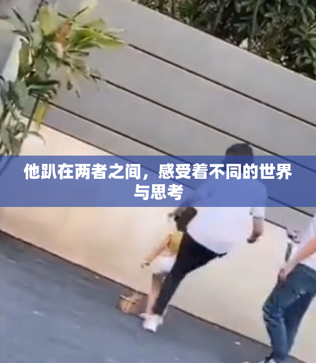 他趴在两者之间，感受着不同的世界与思考