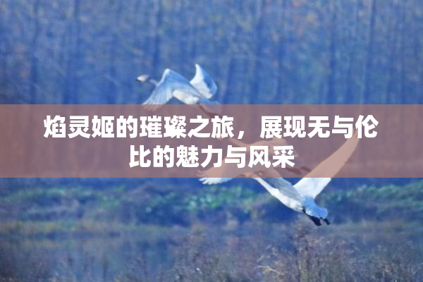 焰灵姬的璀璨之旅，展现无与伦比的魅力与风采