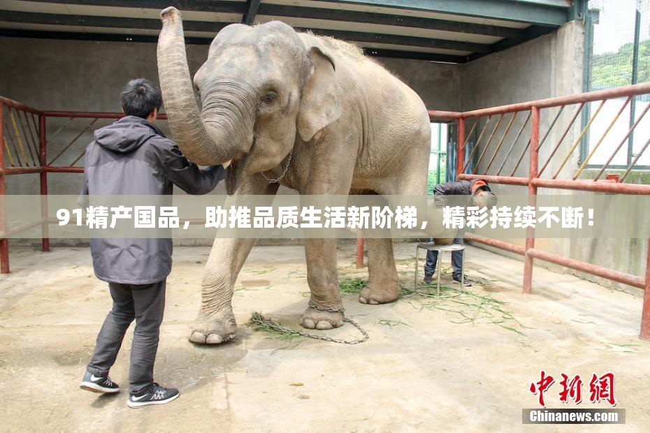 91精产国品，助推品质生活新阶梯，精彩持续不断！