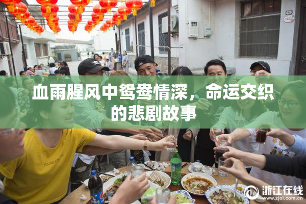 血雨腥风中鸳鸯情深，命运交织的悲剧故事