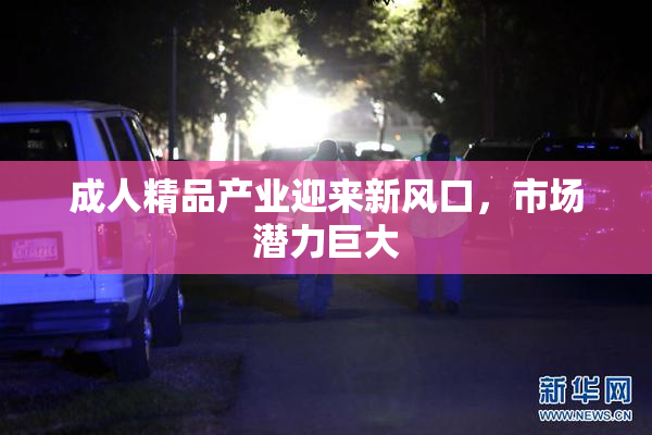 成人精品产业迎来新风口，市场潜力巨大