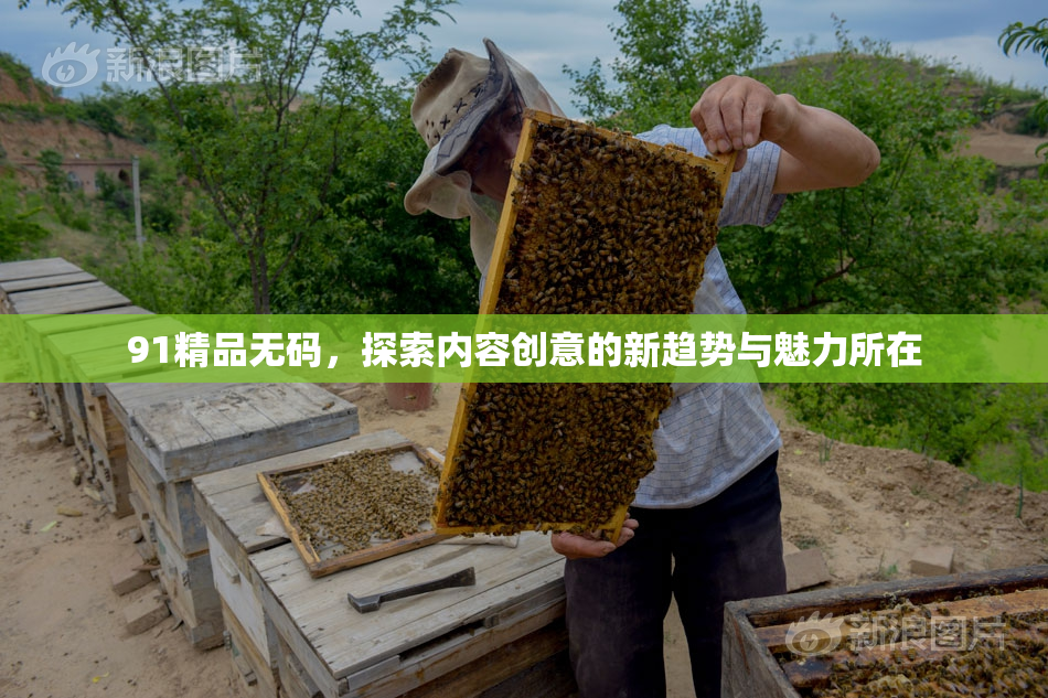 91精品无码，探索内容创意的新趋势与魅力所在