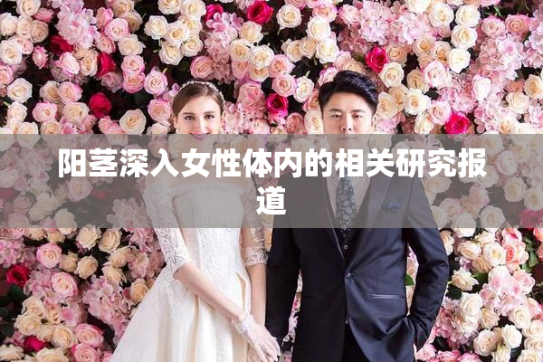 阳茎深入女性体内的相关研究报道