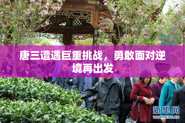 唐三遭遇巨重挑战，勇敢面对逆境再出发