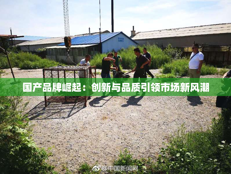 国产品牌崛起：创新与品质引领市场新风潮