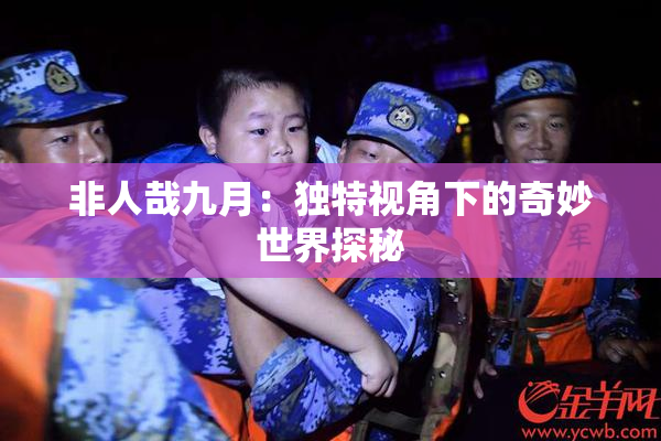 非人哉九月：独特视角下的奇妙世界探秘