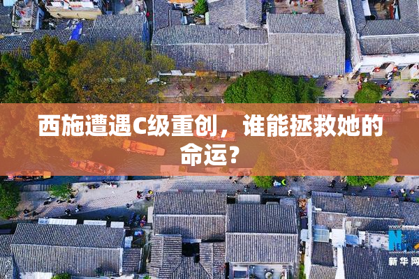 西施遭遇C级重创，谁能拯救她的命运？