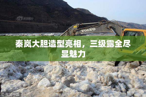 秦岚大胆造型亮相，三级露全尽显魅力