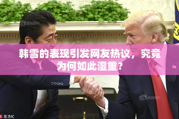 韩雪的表现引发网友热议，究竟为何如此湿重？