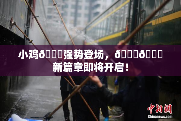 小鸡🐔强势登场，🍑🔞新篇章即将开启！