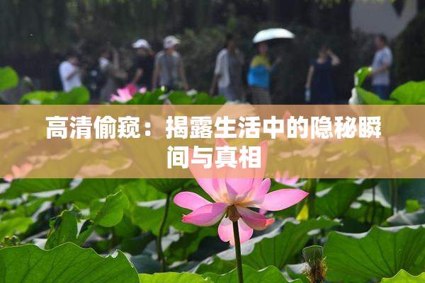 高清偷窥：揭露生活中的隐秘瞬间与真相