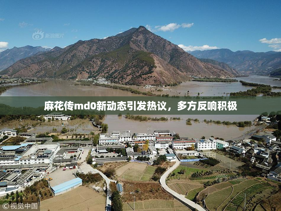 麻花传md0新动态引发热议，多方反响积极