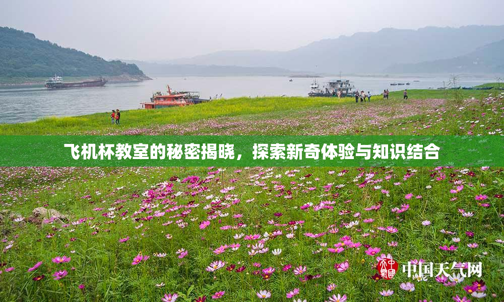 飞机杯教室的秘密揭晓，探索新奇体验与知识结合