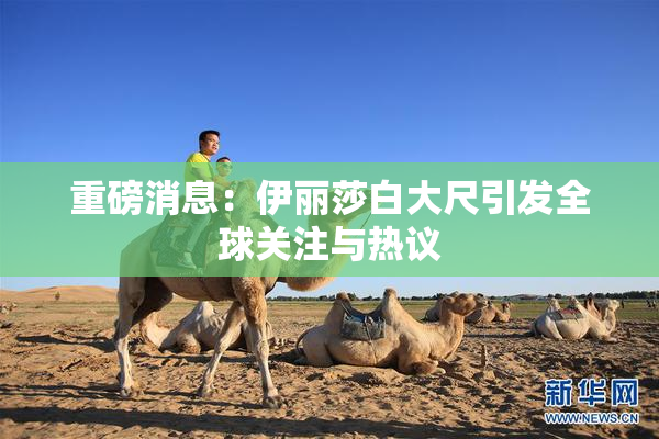 重磅消息：伊丽莎白大尺引发全球关注与热议