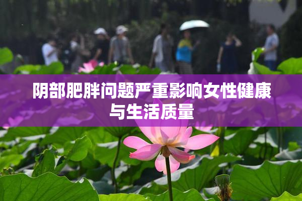 阴部肥胖问题严重影响女性健康与生活质量