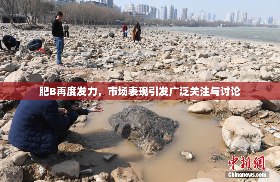 肥B再度发力，市场表现引发广泛关注与讨论
