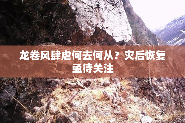 龙卷风肆虐何去何从？灾后恢复亟待关注