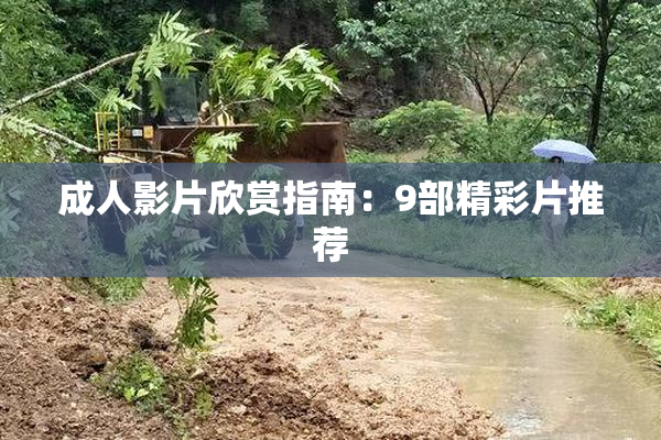 成人影片欣赏指南：9部精彩片推荐