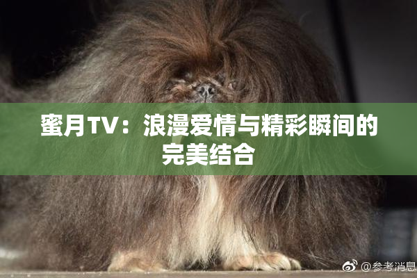 蜜月TV：浪漫爱情与精彩瞬间的完美结合