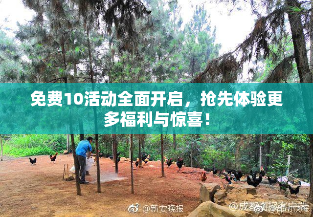 免费10活动全面开启，抢先体验更多福利与惊喜！